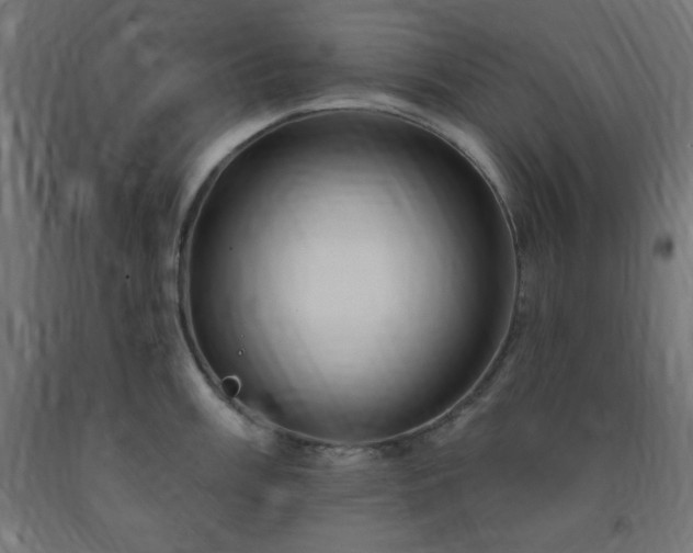 X0000093251003200710031600