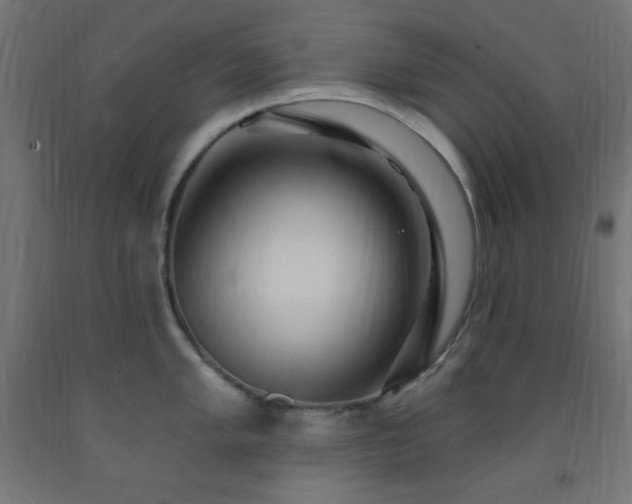 X0000093251005200710031600