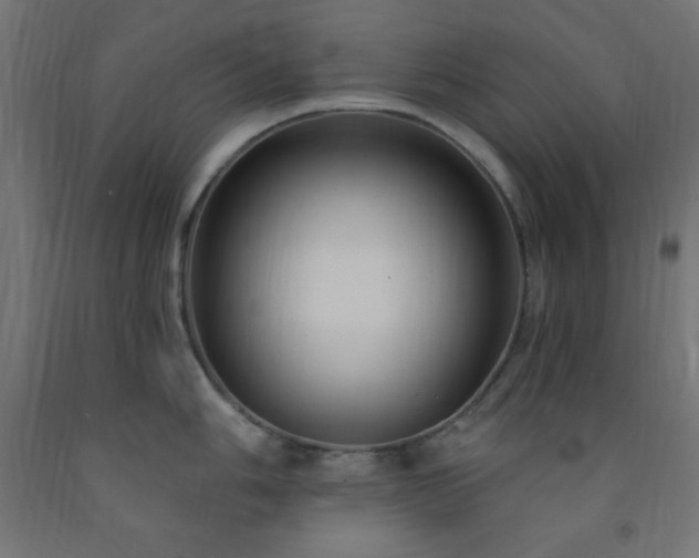 X0000093251006200710031600