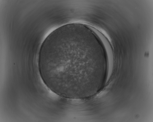 X0000093251007200710031600