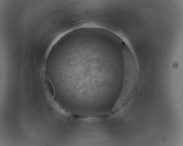 X0000093251008200710031600