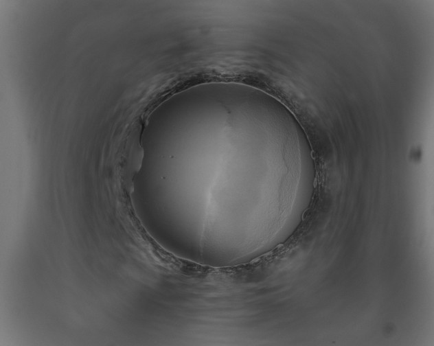 X0000093251009200710031559