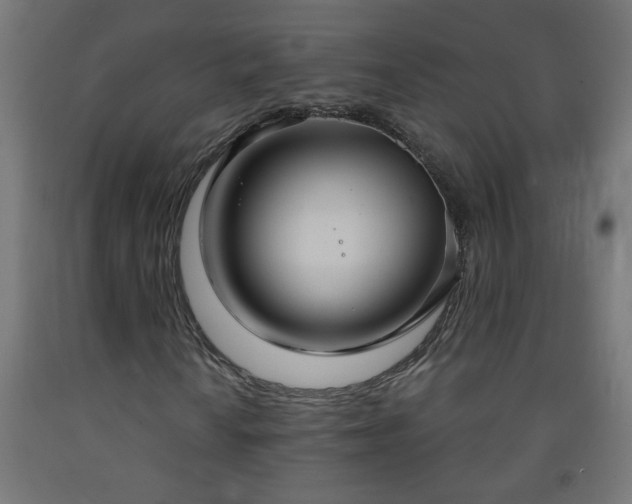 X0000093251010200710031559