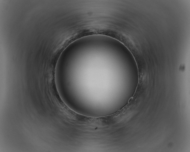 X0000093251012200710031559