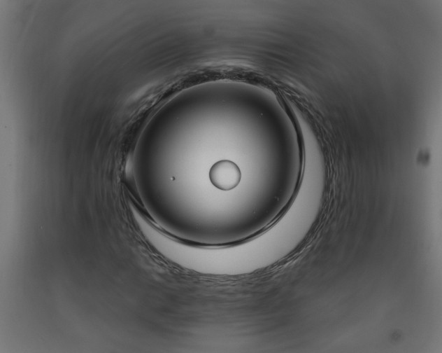 X0000093251014200710031559