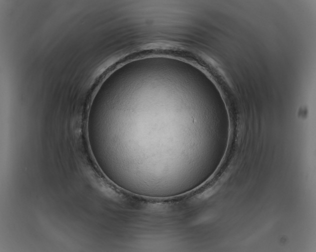 X0000093251017200710031559