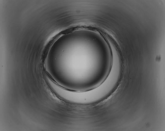 X0000093251018200710031559