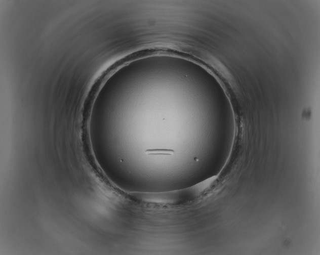 X0000093251020200710031559