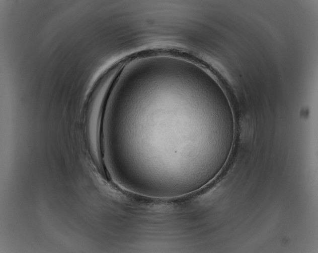 X0000093251021200710031559