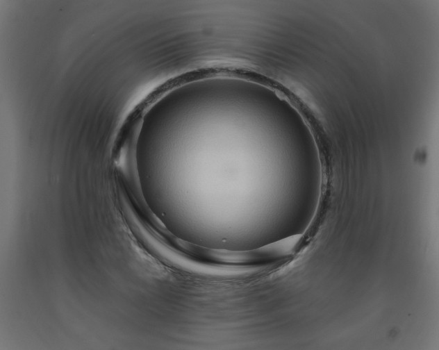 X0000093251022200710031559