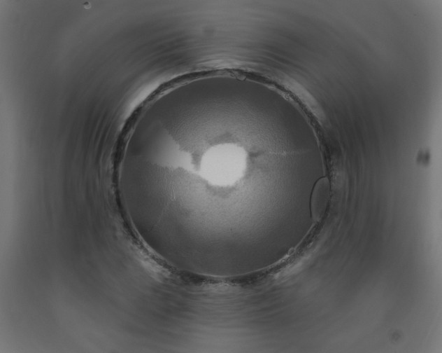 X0000093251023200710031559