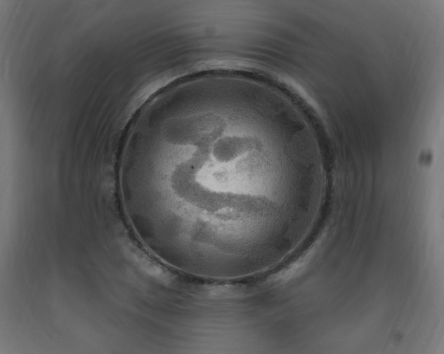 X0000093251025200710031559