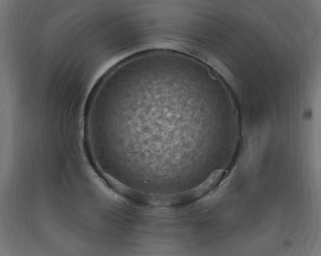 X0000093251028200710031559