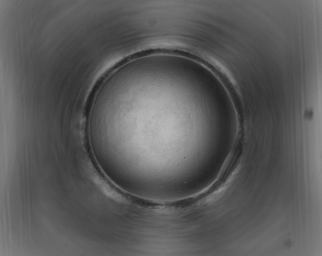 X0000093251029200710031559