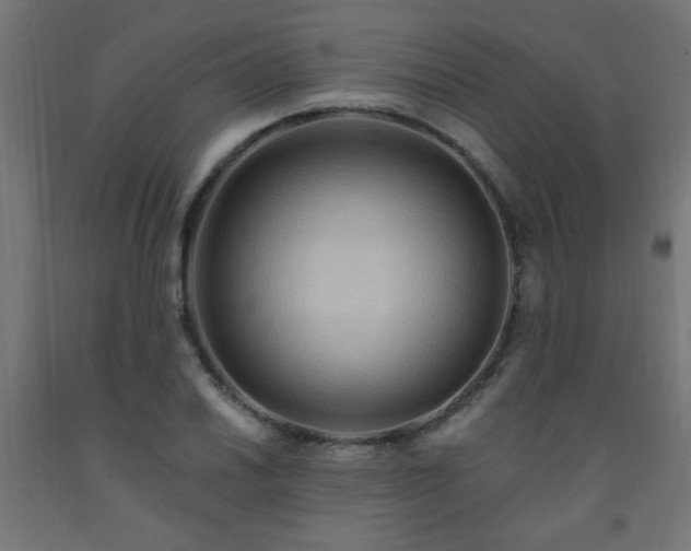 X0000093251030200710031559