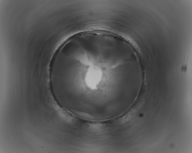 X0000093251031200710031559