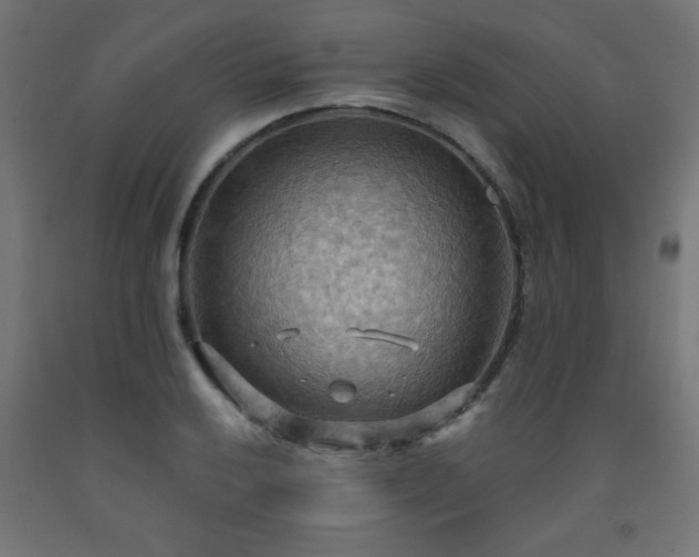 X0000093251032200710031559