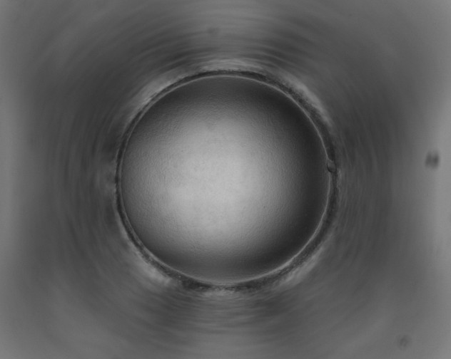 X0000093251033200710031559