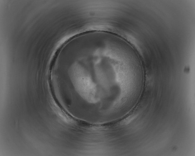 X0000093251035200710031559