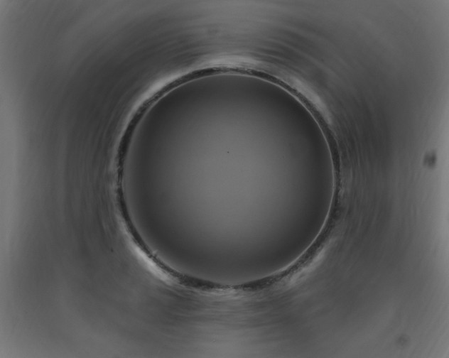 X0000093251037200710031559