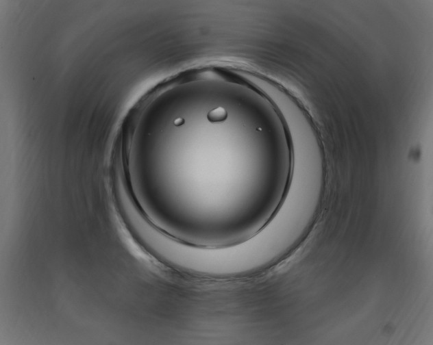 X0000093251038200710031559