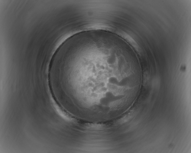 X0000093251039200710031559