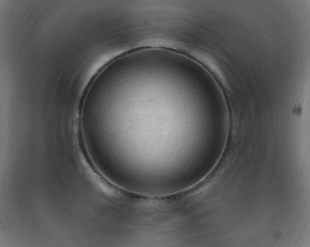 X0000093251040200710031559