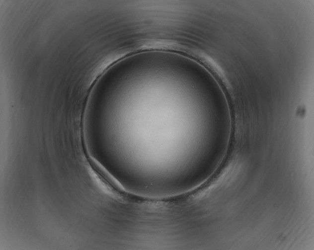 X0000093251041200710031559