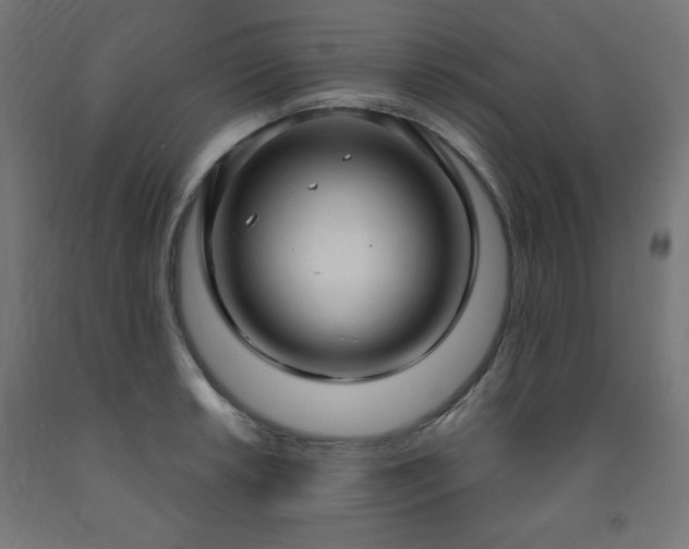 X0000093251042200710031559