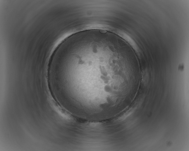 X0000093251043200710031559