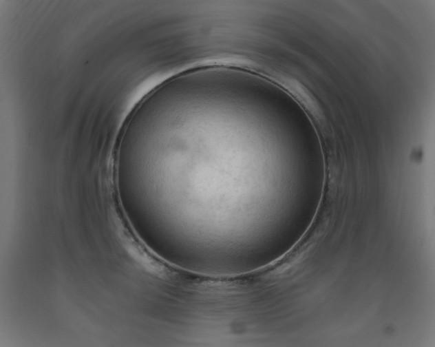 X0000093251044200710031559