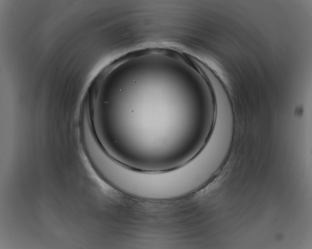 X0000093251046200710031559