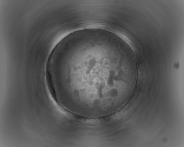 X0000093251047200710031559