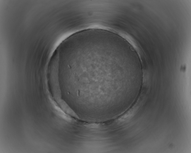 X0000093251048200710031559