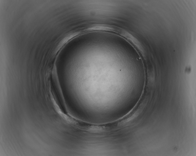 X0000093251049200710031559