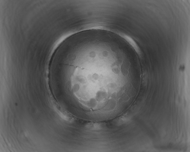 X0000093251051200710031559