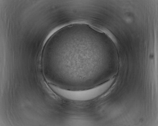 X0000093251052200710031559