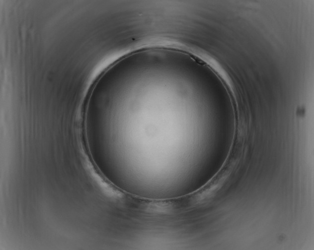 X0000093251053200710031559