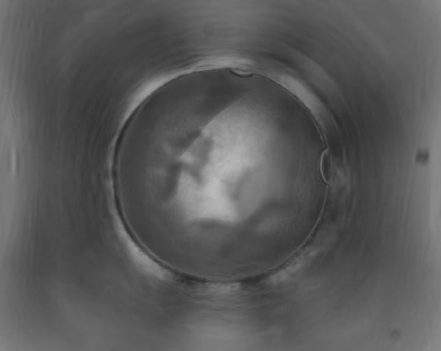 X0000093251055200710031559