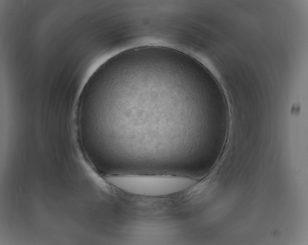 X0000093251056200710031559