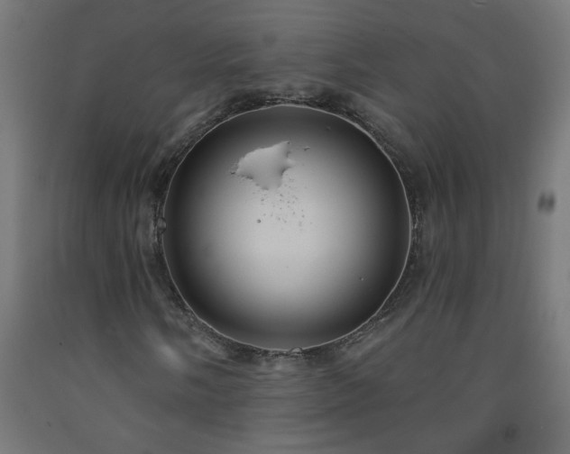 X0000093251058200710031559