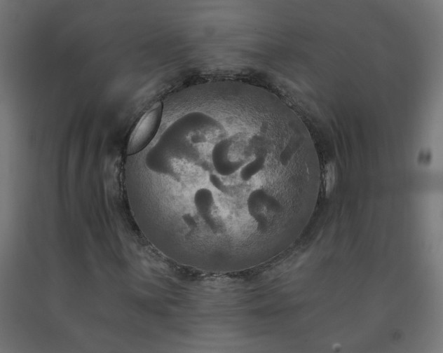X0000093251059200710031559