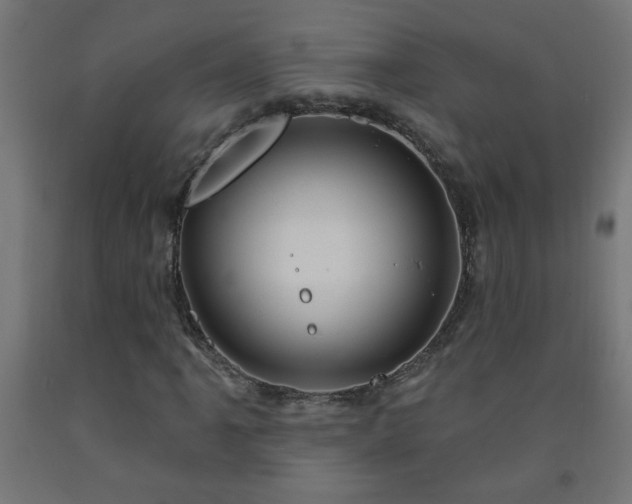 X0000093251061200710031559