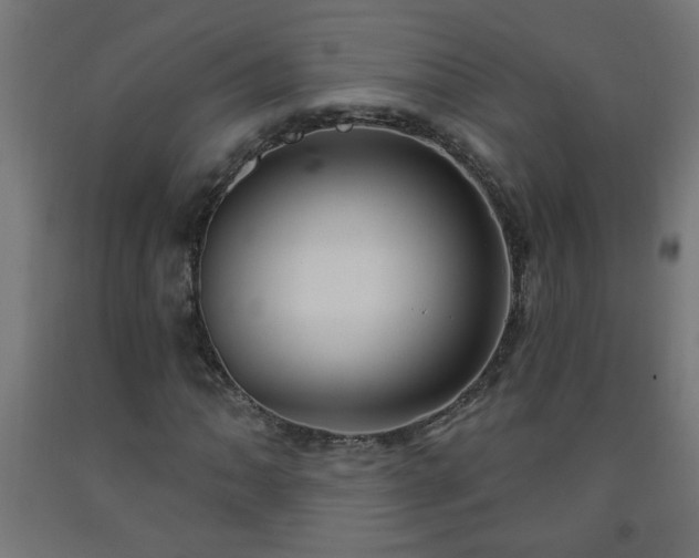 X0000093251062200710031559