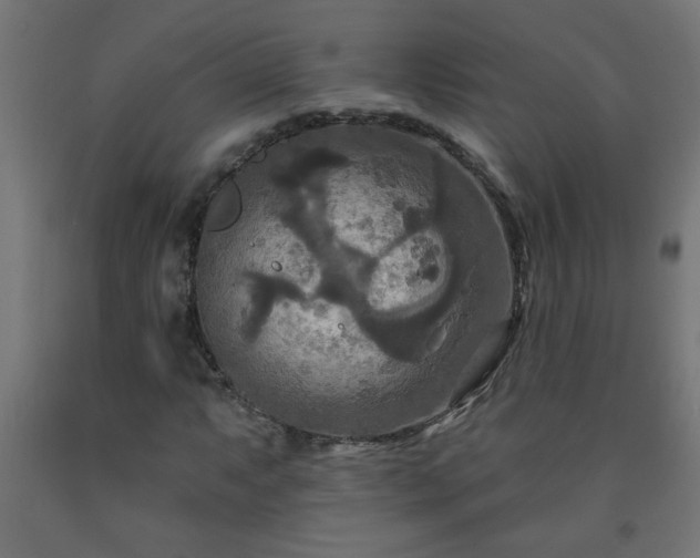 X0000093251063200710031559