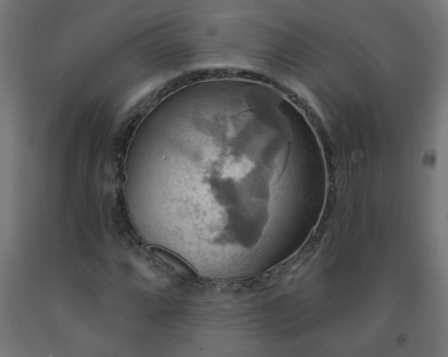 X0000093251064200710031559