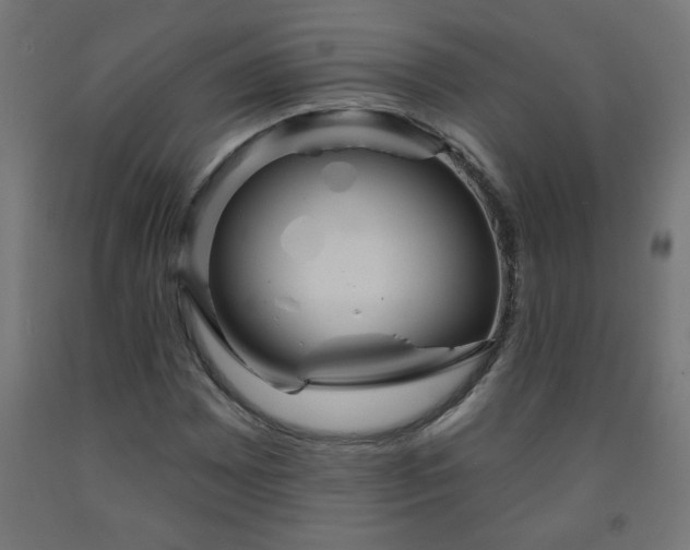 X0000093251065200710031559