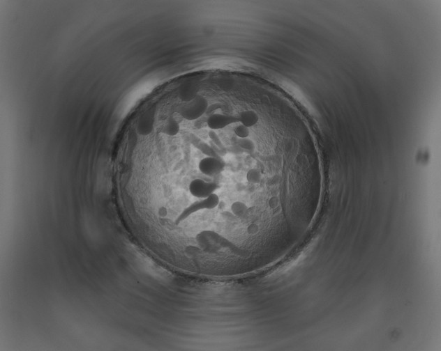 X0000093251067200710031559