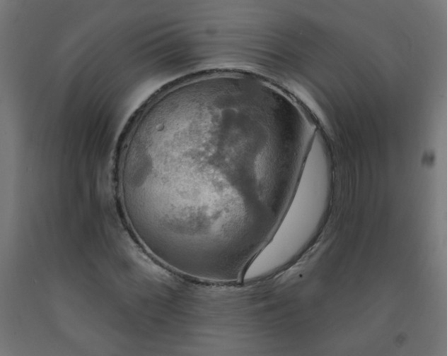 X0000093251068200710031559