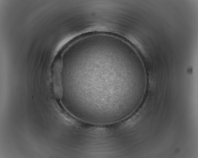 X0000093251070200710031559